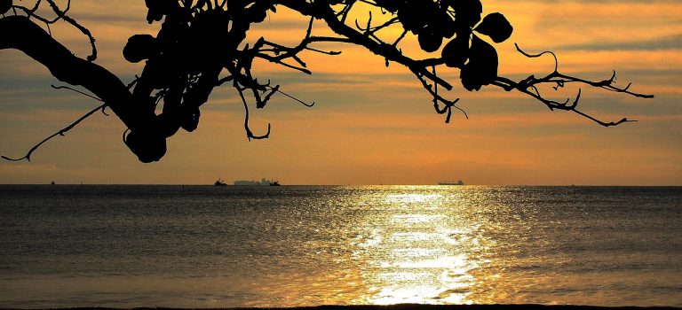 Lugnet finner dig Lugnet finner dig